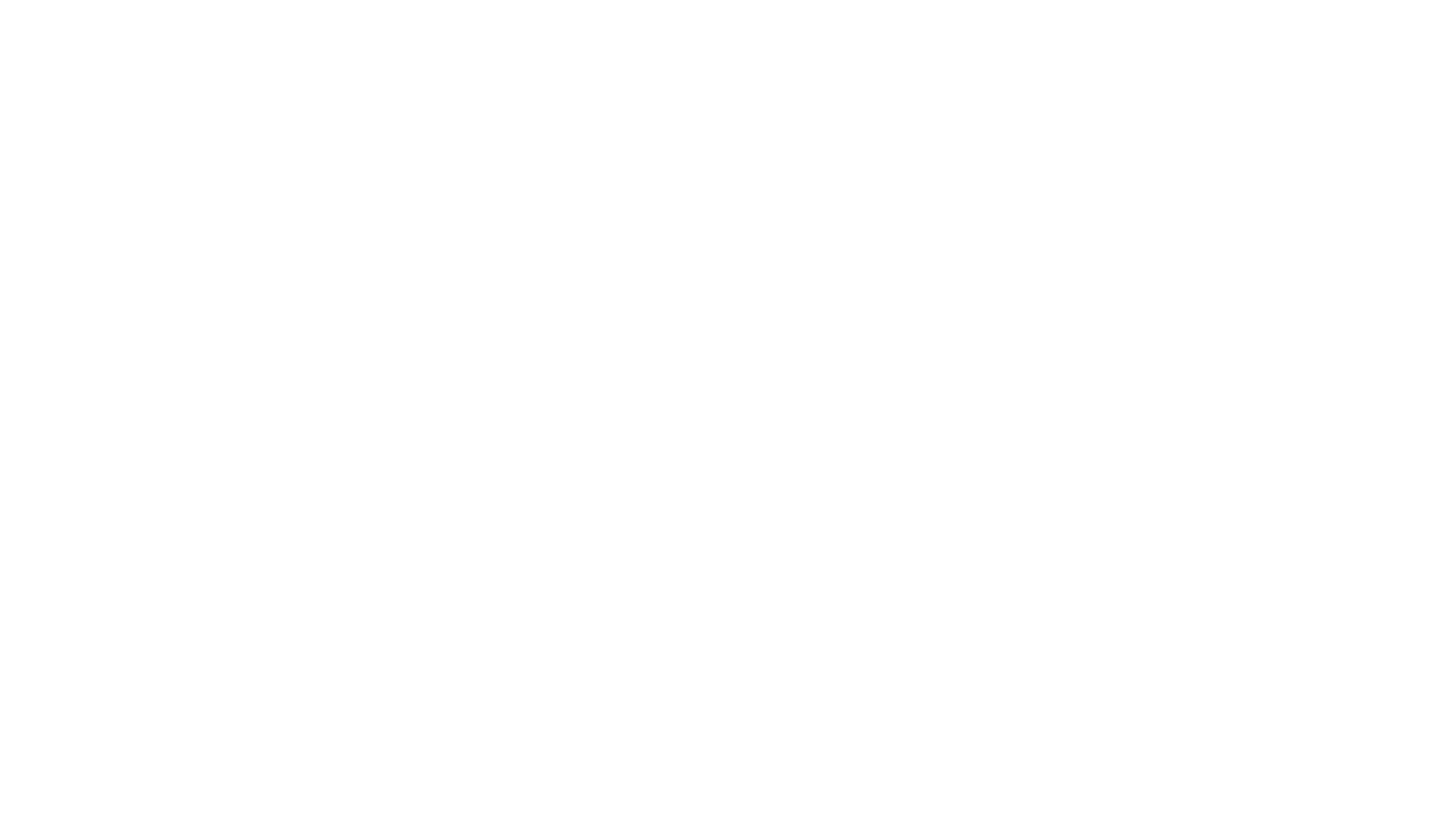 Finesse Company